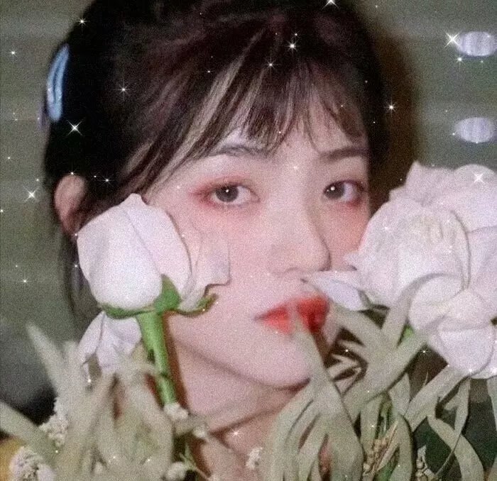 北美乡村爱情