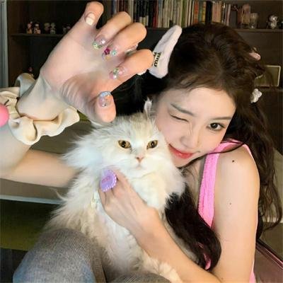 出发吧!短剧内蒙古篇